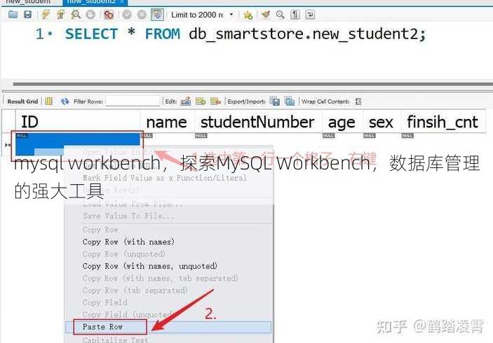 mysql workbench