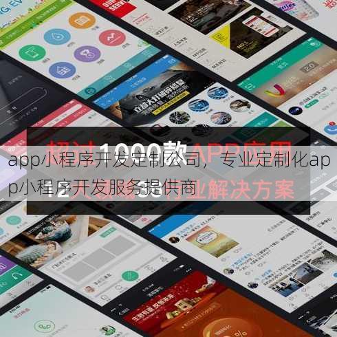 app小程序开发定制公司