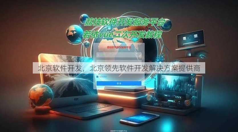 北京软件开发