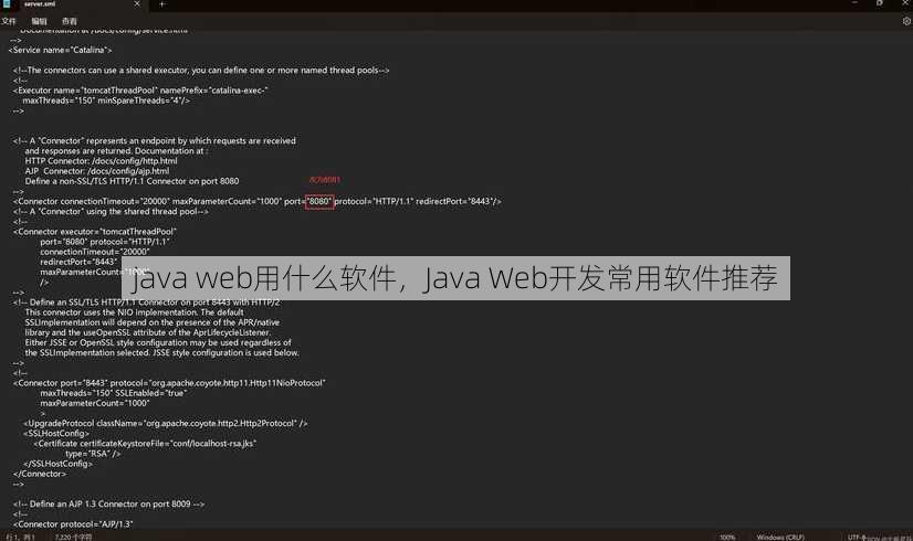 java web用什么软件