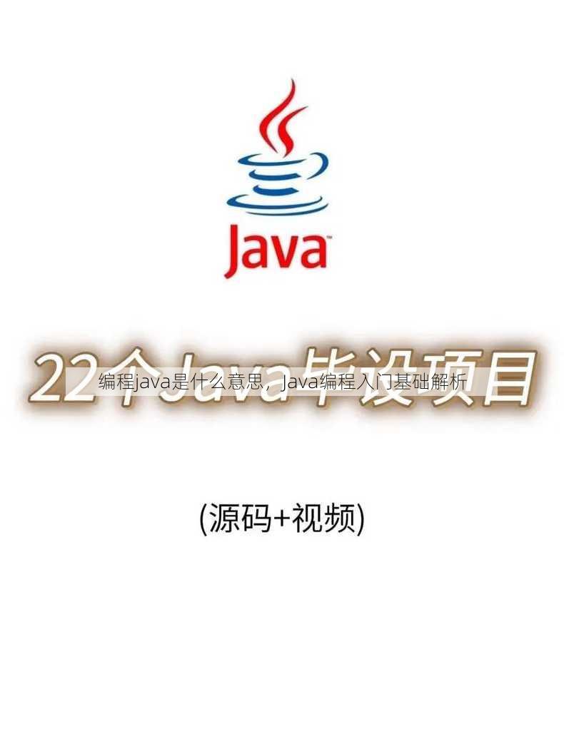 编程java是什么意思