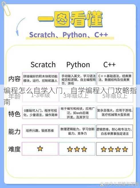 编程怎么自学入门