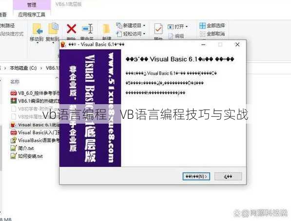 vb语言编程