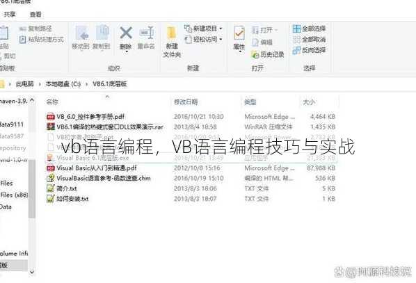 vb语言编程