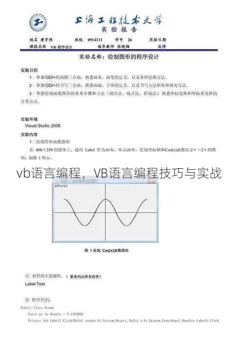 vb语言编程