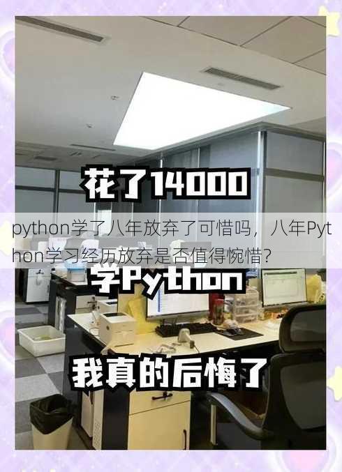 python学了八年放弃了可惜吗