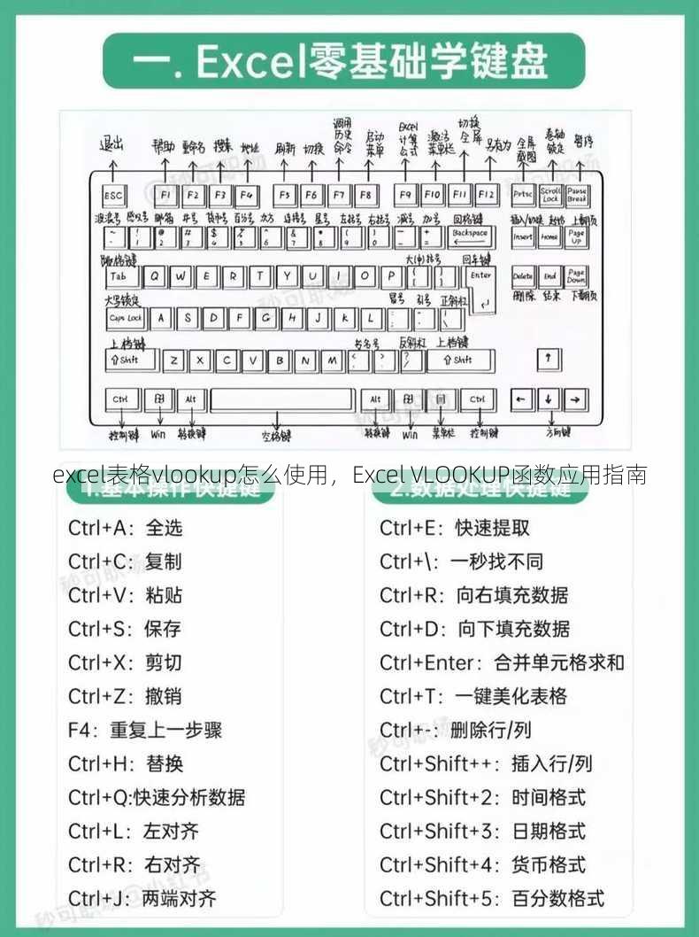 excel表格vlookup怎么使用