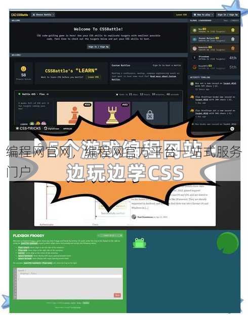 编程网官网
