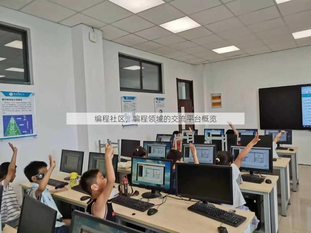 编程社区