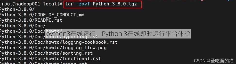 python3在线运行