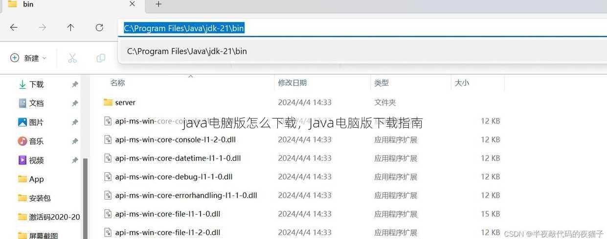 java电脑版怎么下载