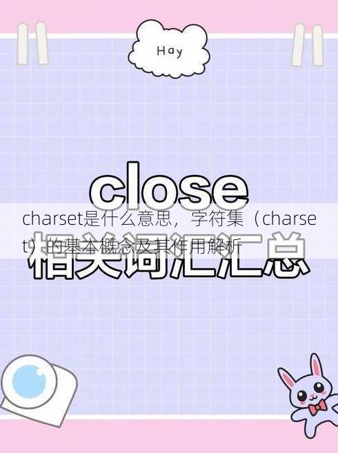 charset是什么意思