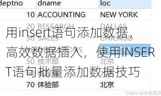 用insert语句添加数据