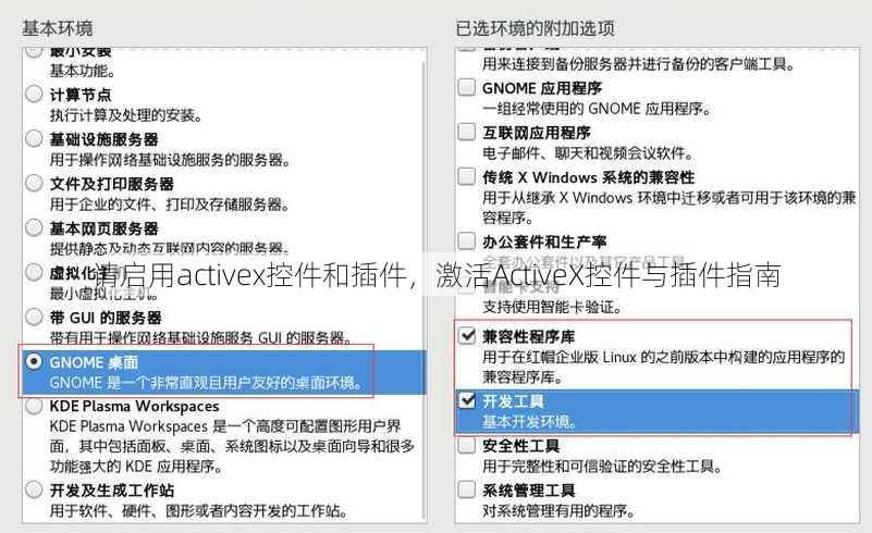 请启用activex控件和插件