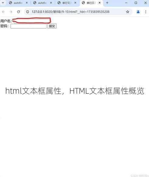 html文本框属性