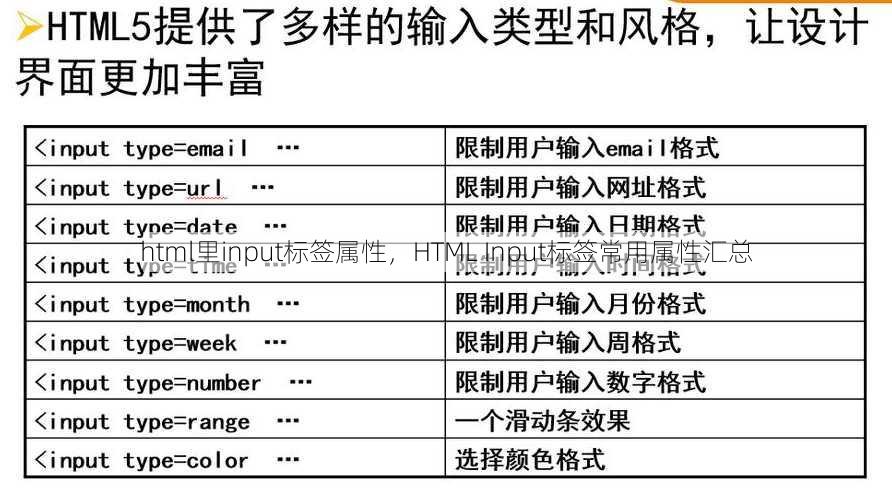 html里input标签属性