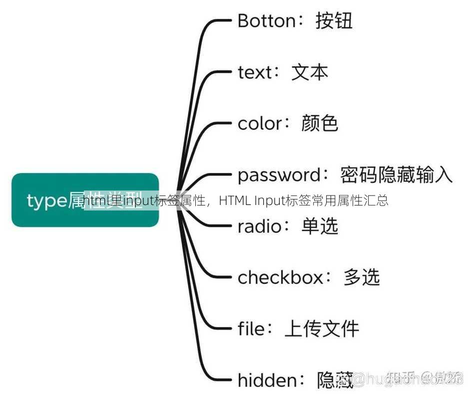 html里input标签属性