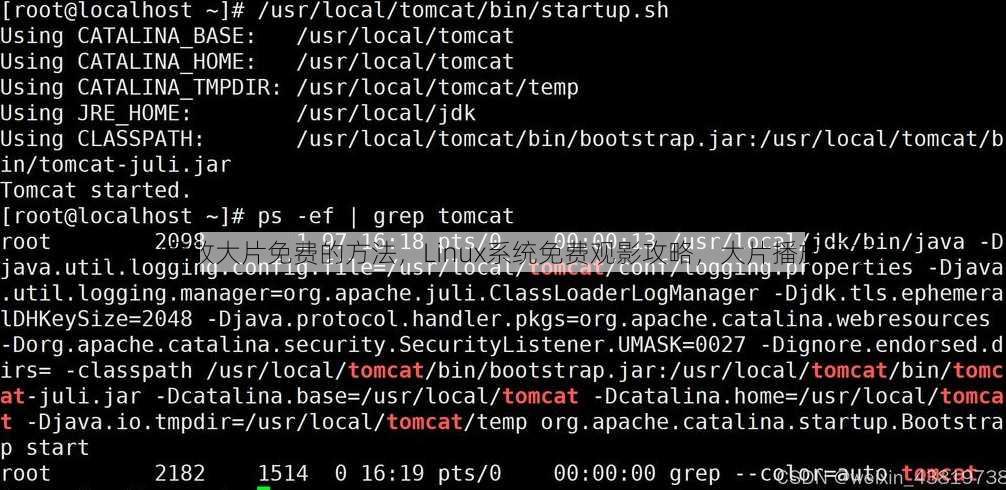 linux播放大片免费的方法