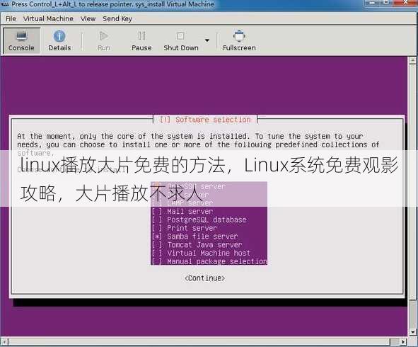 linux播放大片免费的方法