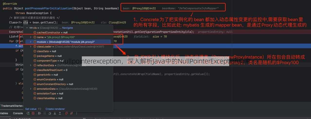 nullpointerexception