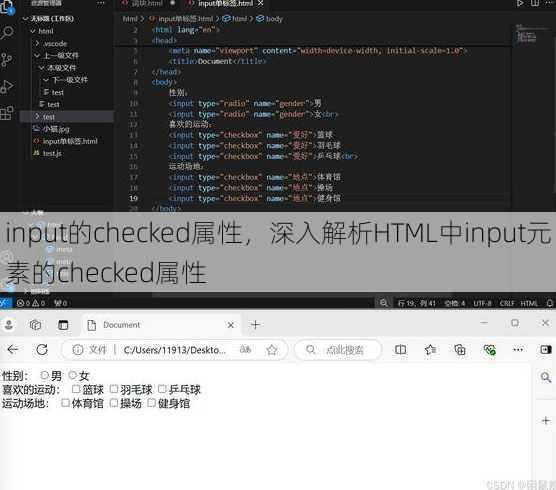 input的checked属性