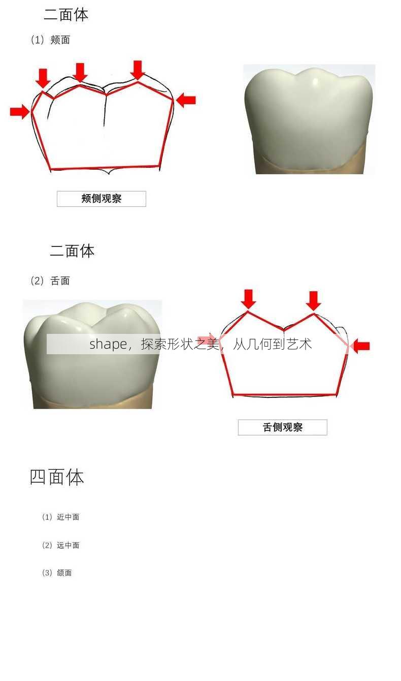 shape