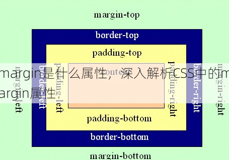 margin是什么属性