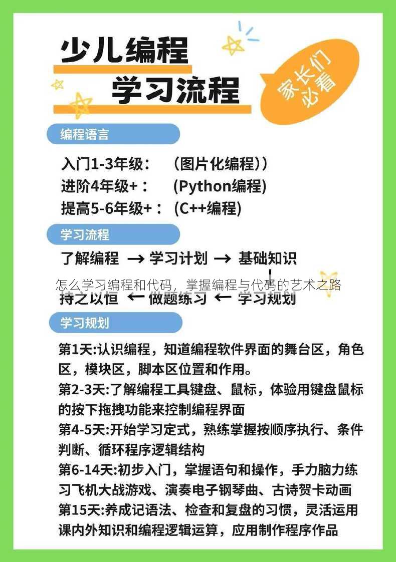 怎么学习编程和代码