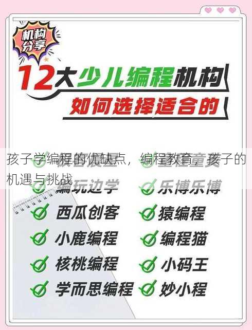 孩子学编程的优缺点