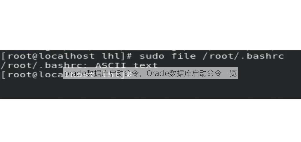 oracle数据库启动命令