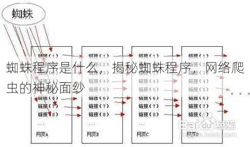 蜘蛛程序是什么