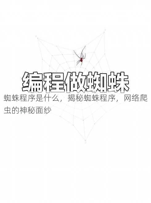 蜘蛛程序是什么