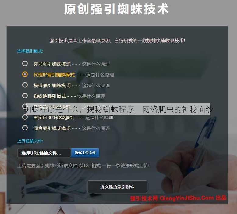 蜘蛛程序是什么