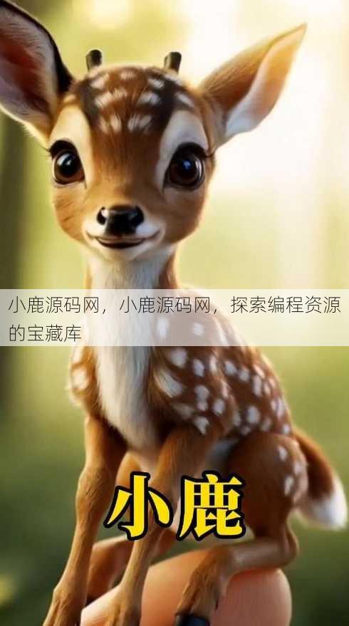 小鹿源码网