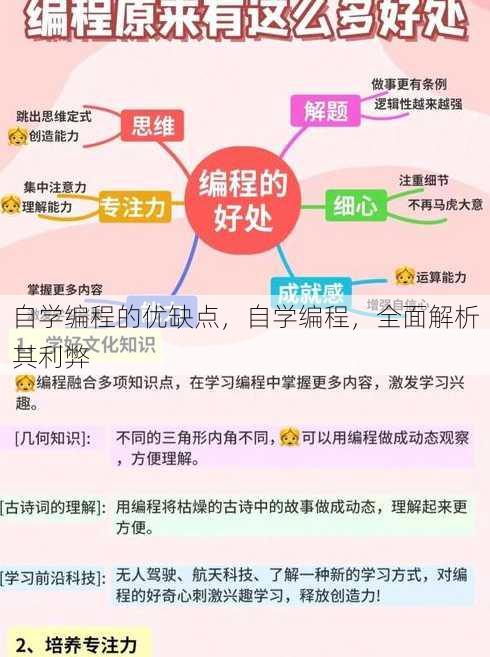 自学编程的优缺点