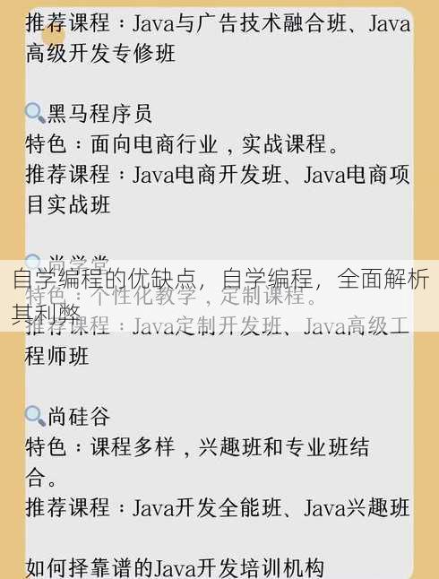 自学编程的优缺点