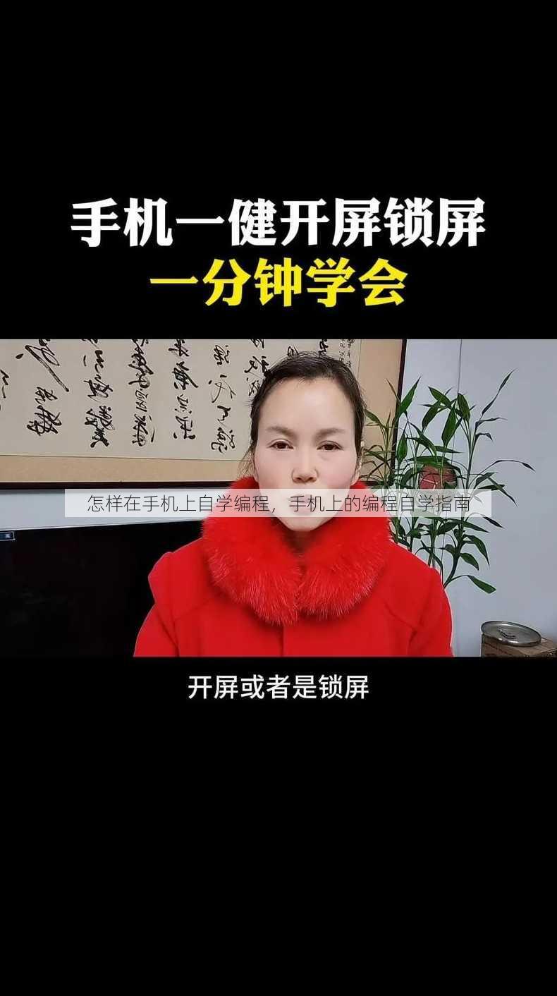 怎样在手机上自学编程