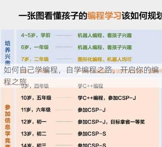 如何自己学编程