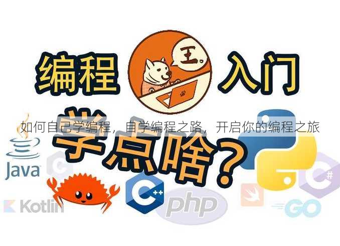 如何自己学编程
