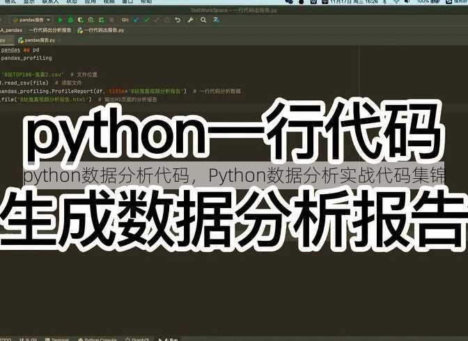 python数据分析代码