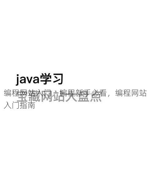 编程网站入门
