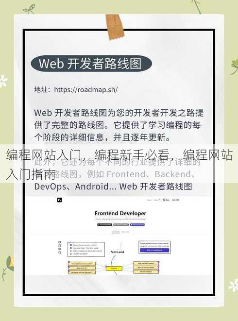 编程网站入门