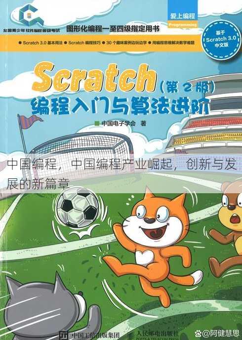 中国编程