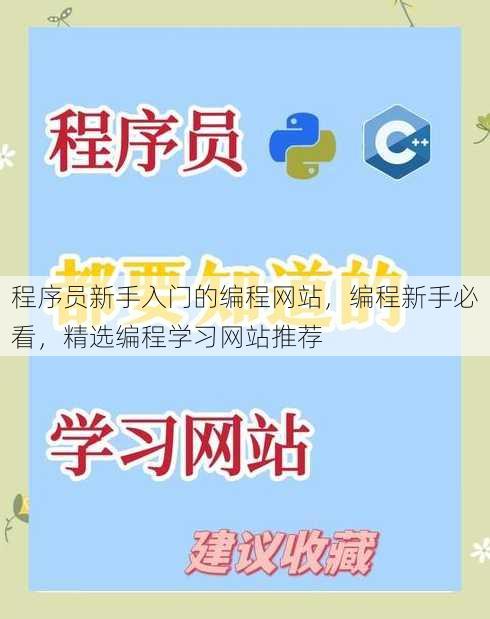 程序员新手入门的编程网站