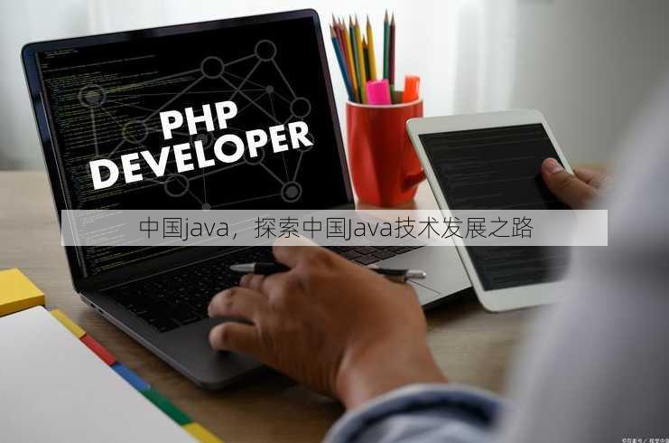 中国java