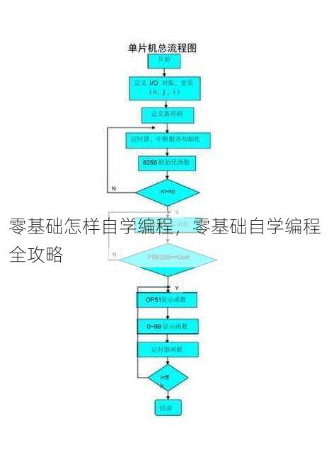 零基础怎样自学编程