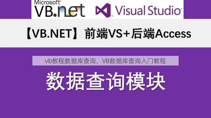 vb教程数据库查询