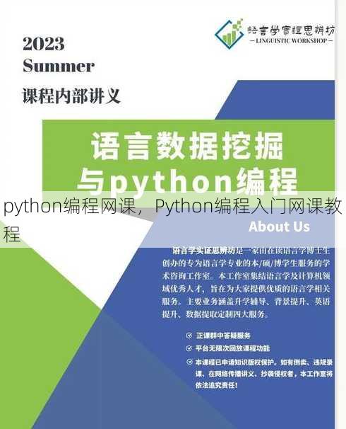 python编程网课