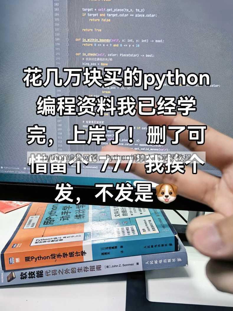 python编程网课