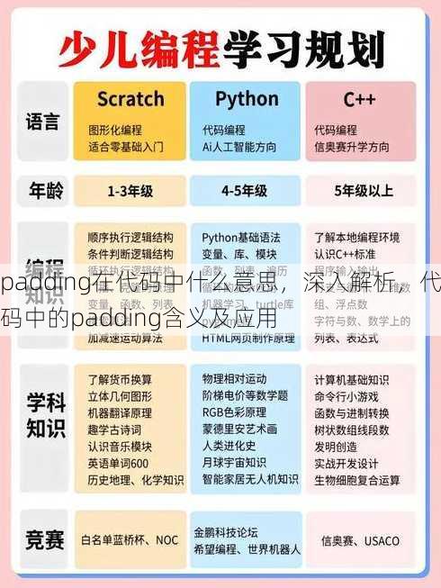 padding在代码中什么意思